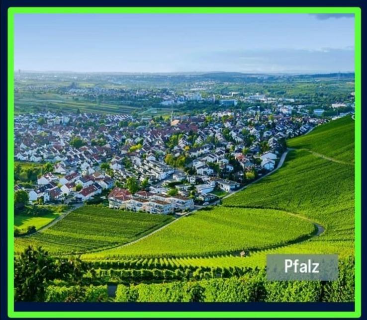 Ferienwohnung Forest & Wein Neustadt an der Weinstraße Habitación foto